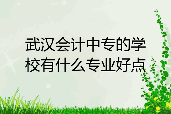 武汉会计中专的学校有什么专业好点