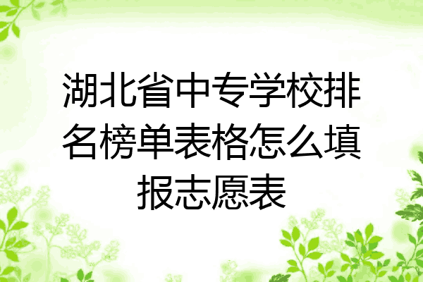 湖北省中专学校排名榜单表格怎么填报志愿表