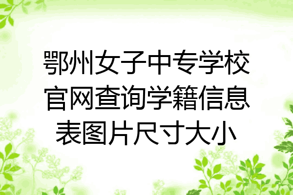 鄂州女子中专学校官网查询学籍信息表图片尺寸大小