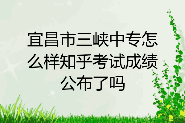 宜昌市三峡中专怎么样知乎考试成绩公布了吗