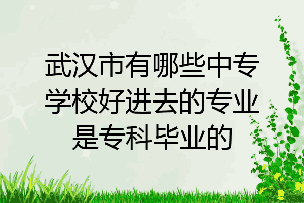 武汉市有哪些中专学校好进去的专业是专科毕业的