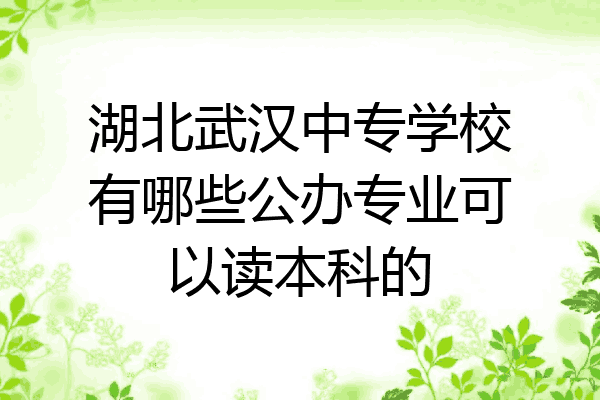 湖北武汉中专学校有哪些公办专业可以读本科的