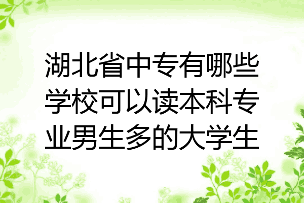 湖北省中专有哪些学校可以读本科专业男生多的大学生