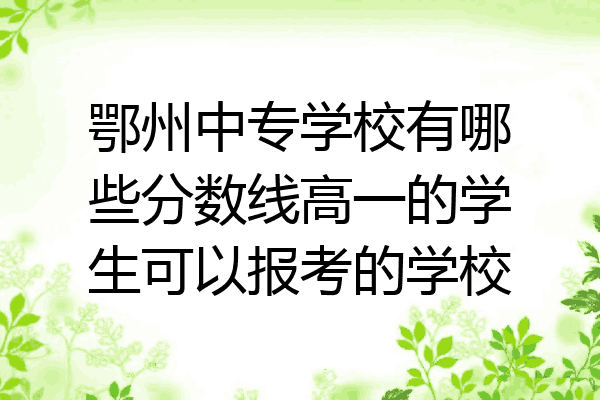 鄂州中专学校有哪些分数线高一的学生可以报考的学校