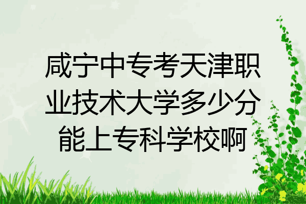 咸宁中专考天津职业技术大学多少分能上专科学校啊