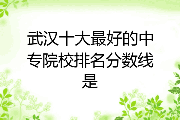 武汉十大最好的中专院校排名分数线是