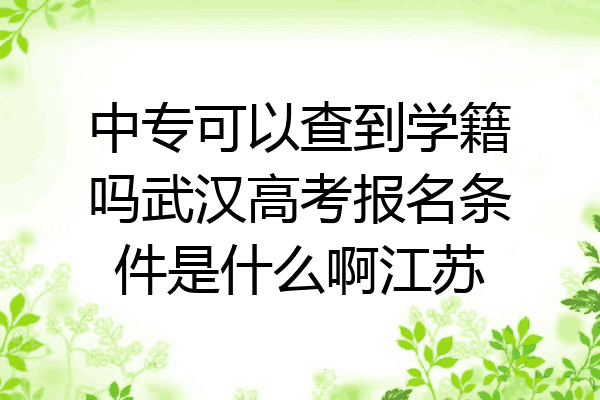 中专可以查到学籍吗武汉高考报名条件是什么啊江苏