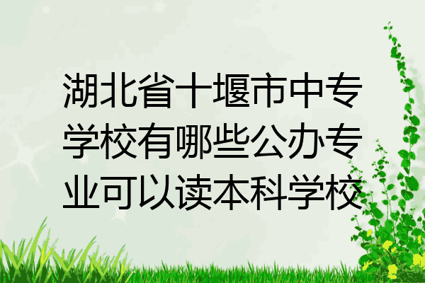 湖北省十堰市中专学校有哪些公办专业可以读本科学校