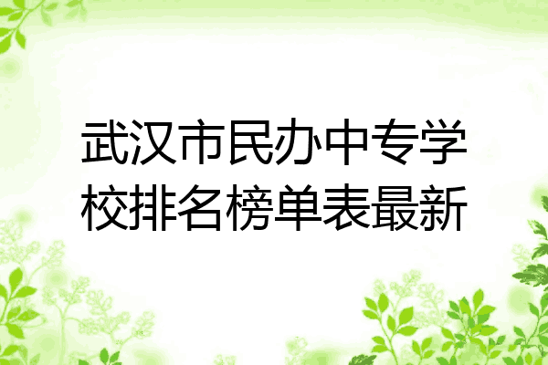武汉市民办中专学校排名榜单表最新