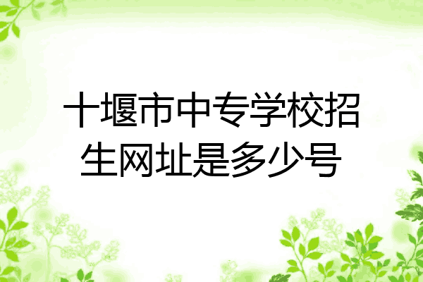 十堰市中专学校招生网址是多少号