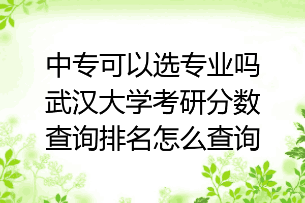 中专可以选专业吗武汉大学考研分数查询排名怎么查询