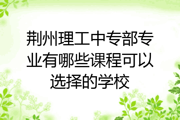 荆州理工中专部专业有哪些课程可以选择的学校