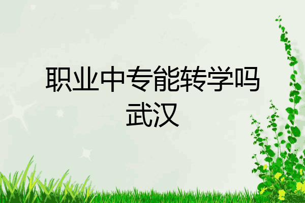 职业中专能转学吗武汉