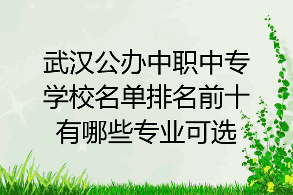 武汉公办中职中专学校名单排名前十有哪些专业可选