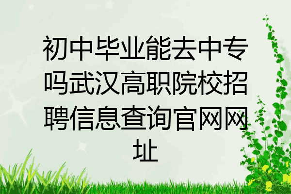 初中毕业能去中专吗武汉高职院校招聘信息查询官网网址