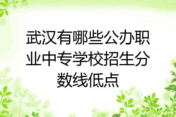 武汉有哪些公办职业中专学校招生分数线低点