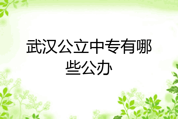武汉公立中专有哪些公办