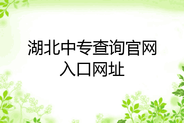 湖北中专查询官网入口网址