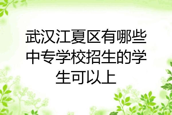 武汉江夏区有哪些中专学校招生的学生可以上