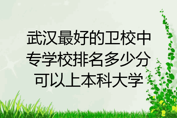 武汉最好的卫校中专学校排名多少分可以上本科大学
