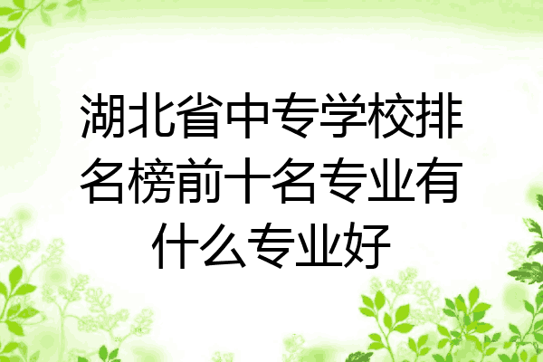 湖北省中专学校排名榜前十名专业有什么专业好