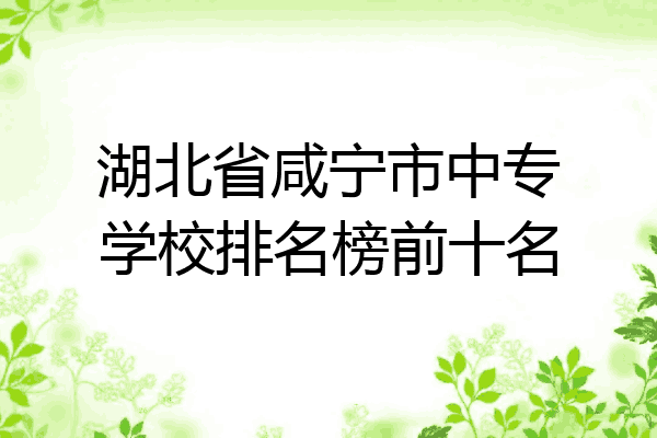 湖北省咸宁市中专学校排名榜前十名