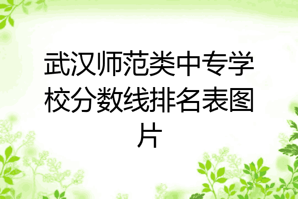 武汉师范类中专学校分数线排名表图片