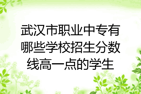 武汉市职业中专有哪些学校招生分数线高一点的学生