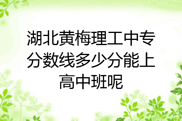 湖北黄梅理工中专分数线多少分能上高中班呢