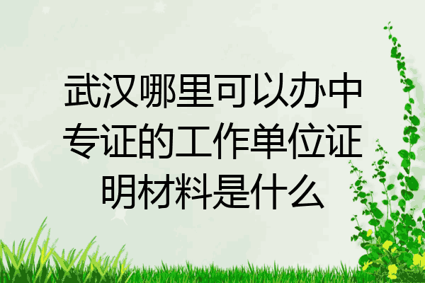武汉哪里可以办中专证的工作单位证明材料是什么