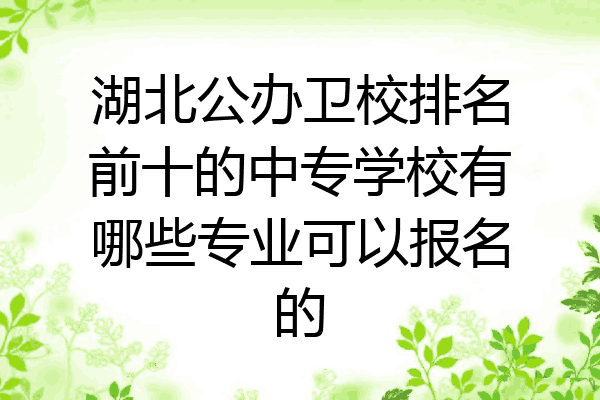 湖北公办卫校排名前十的中专学校有哪些专业可以报名的