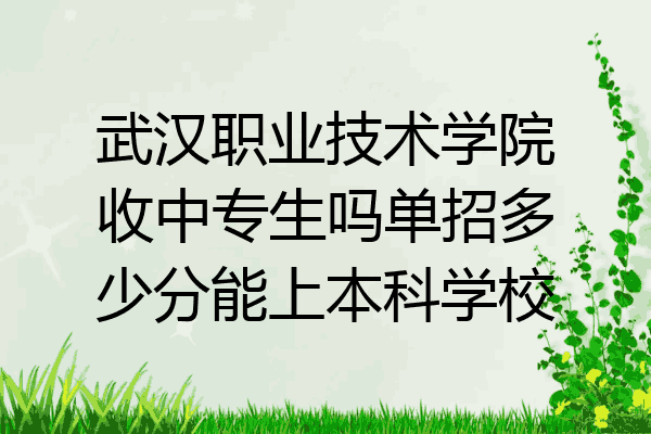 武汉职业技术学院收中专生吗单招多少分能上本科学校