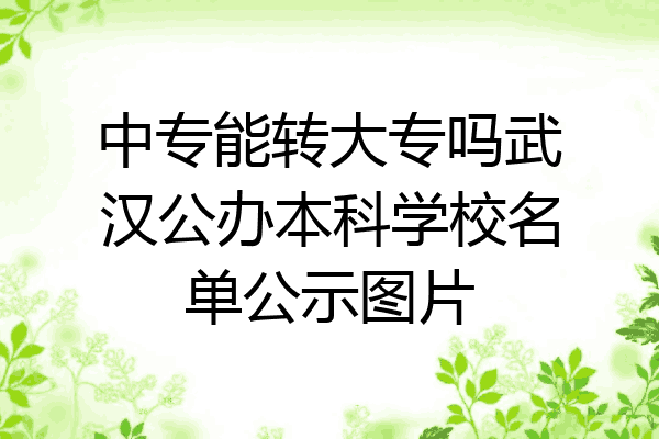 中专能转大专吗武汉公办本科学校名单公示图片
