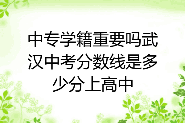 中专学籍重要吗武汉中考分数线是多少分上高中