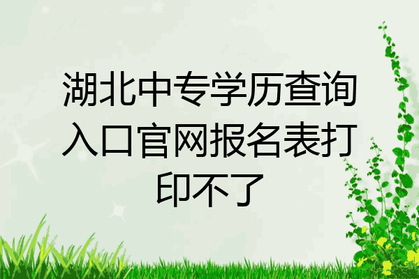 湖北中专学历查询入口官网报名表打印不了