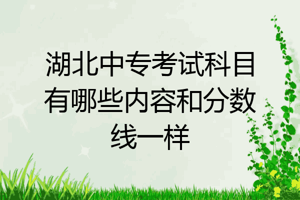 湖北中专考试科目有哪些内容和分数线一样