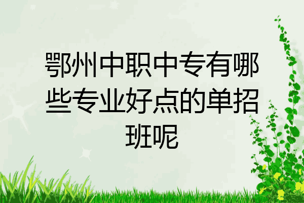 鄂州中职中专有哪些专业好点的单招班呢