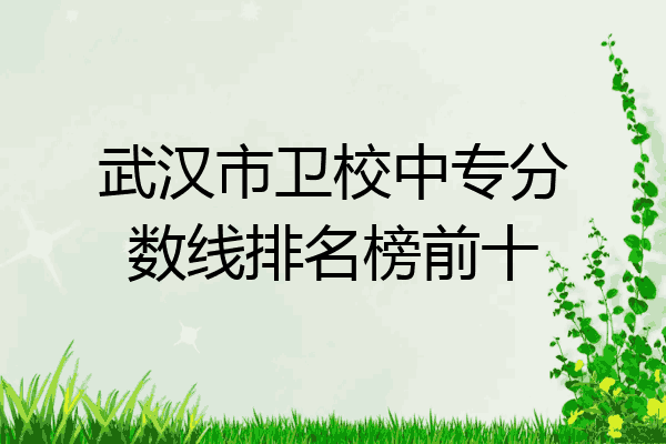 武汉市卫校中专分数线排名榜前十