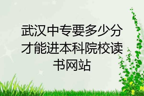 武汉中专要多少分才能进本科院校读书网站