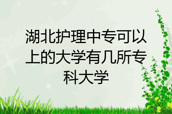 湖北护理中专可以上的大学有几所专科大学