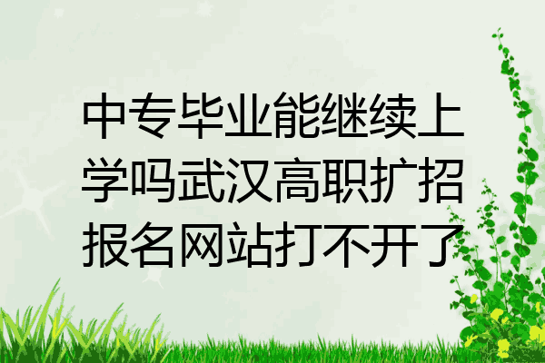 中专毕业能继续上学吗武汉高职扩招报名网站打不开了