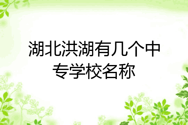 湖北洪湖有几个中专学校名称