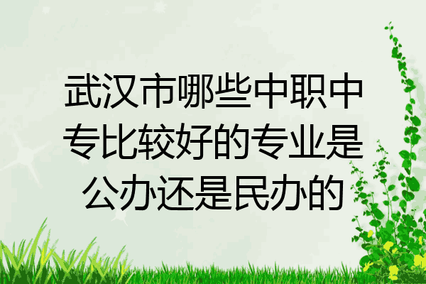 武汉市哪些中职中专比较好的专业是公办还是民办的
