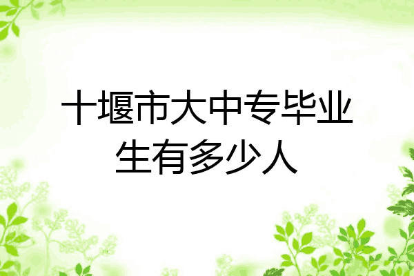 十堰市大中专毕业生有多少人