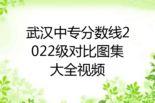 武汉中专分数线2022级对比图集大全视频