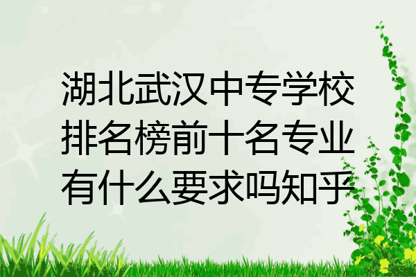 湖北武汉中专学校排名榜前十名专业有什么要求吗知乎