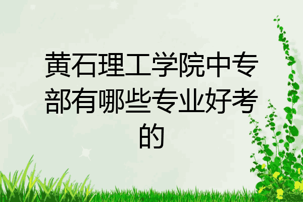 黄石理工学院中专部有哪些专业好考的