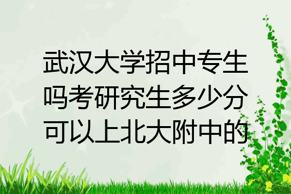 武汉大学招中专生吗考研究生多少分可以上北大附中的
