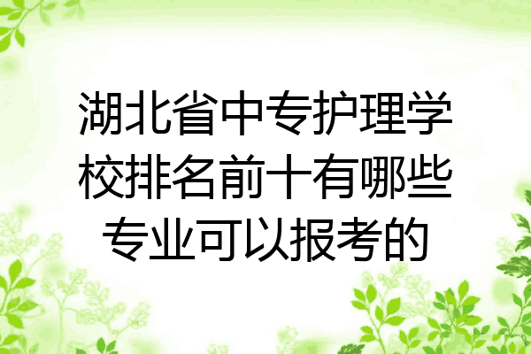 湖北省中专护理学校排名前十有哪些专业可以报考的
