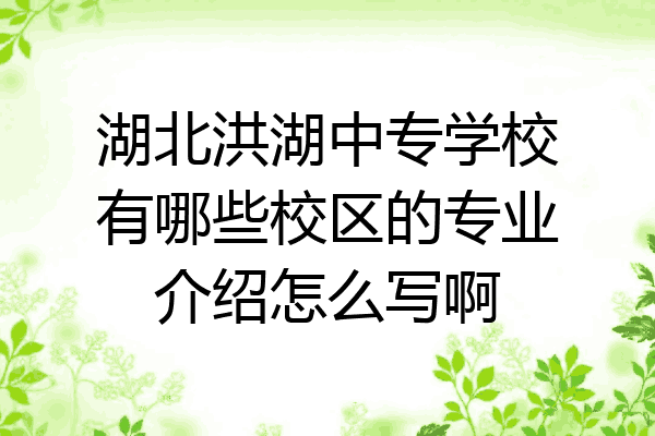 湖北洪湖中专学校有哪些校区的专业介绍怎么写啊